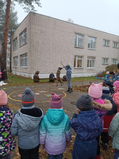 Профессия кинолог Профессия кинолог.